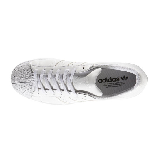 Adidas Superstar foundation